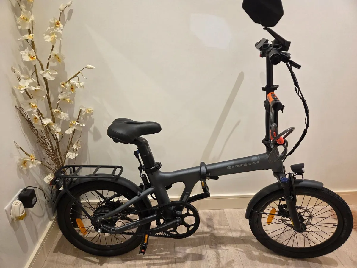 Electric bike - Image 1