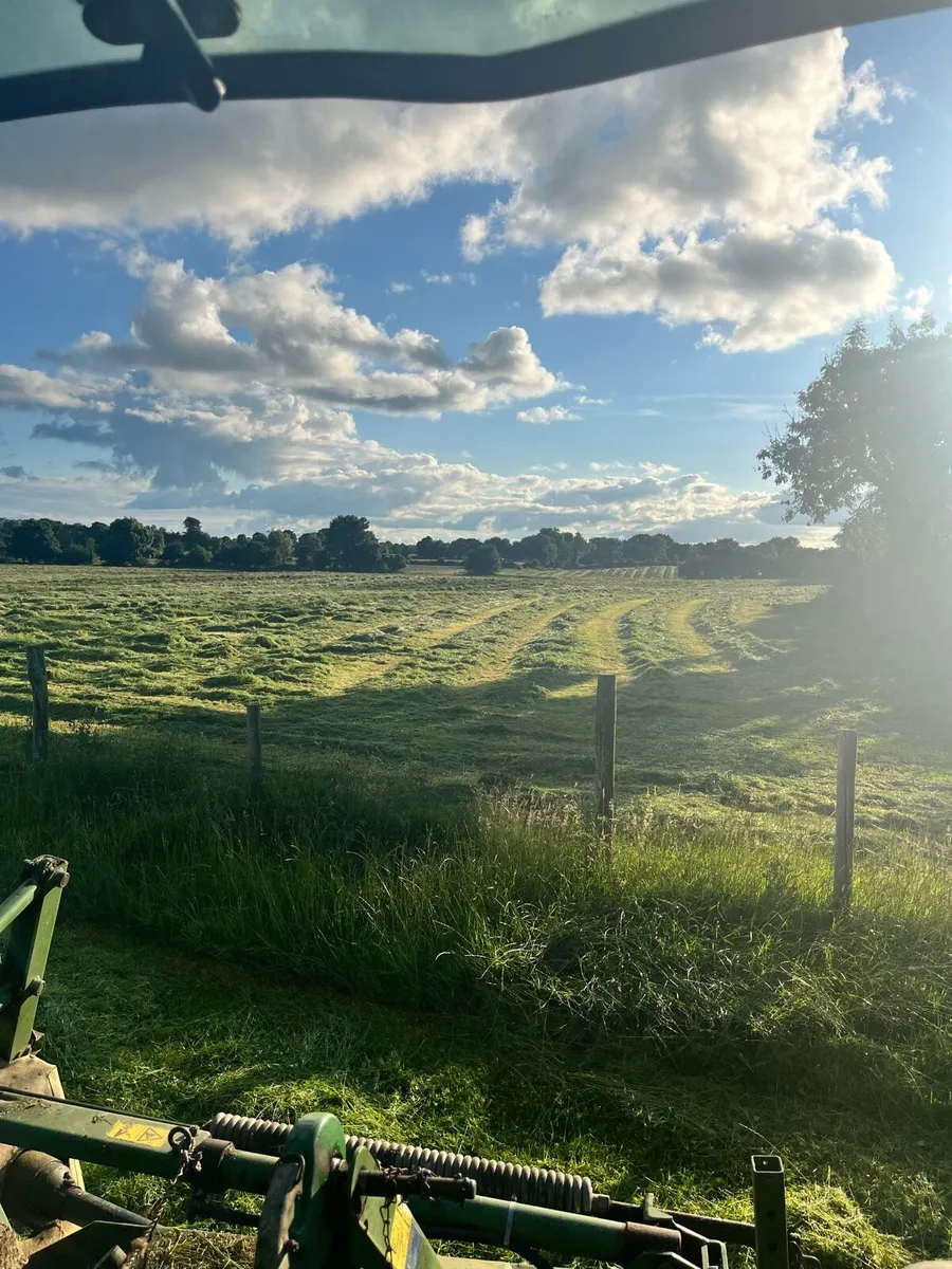 Hay Meadows Wanted