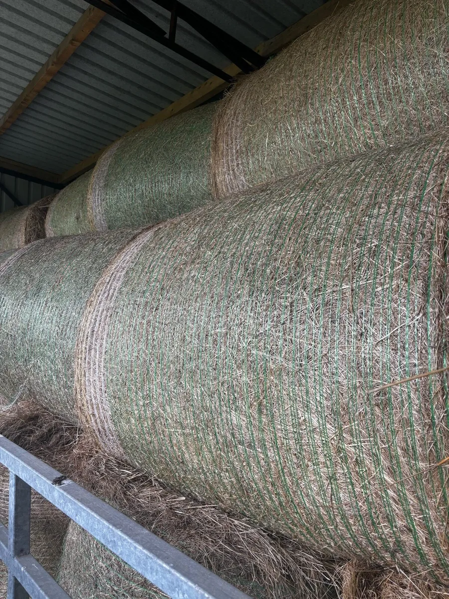 Hay Bales - Image 1