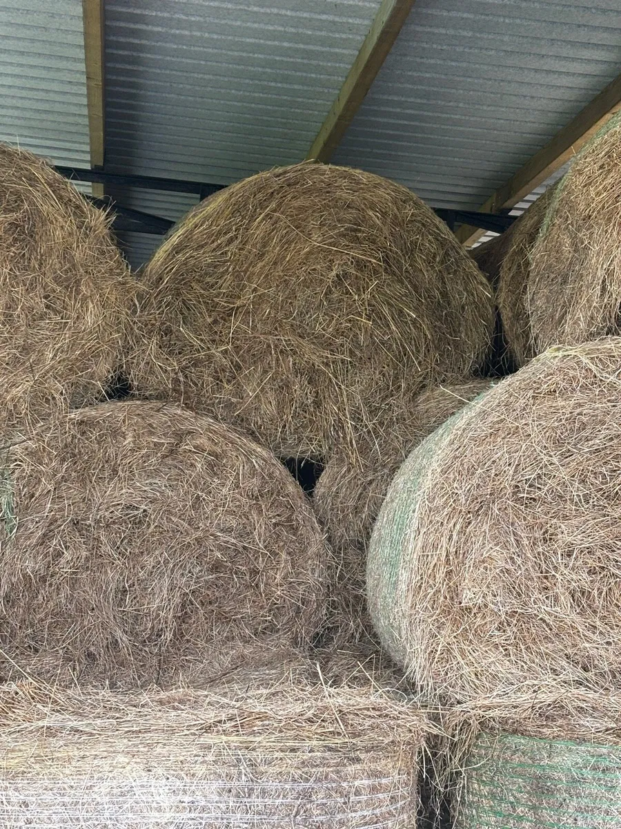Hay Bales - Image 2
