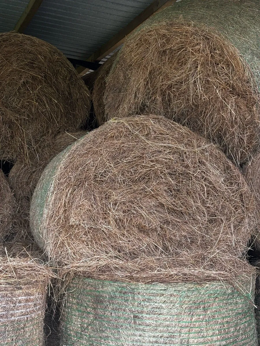 Hay Bales - Image 3