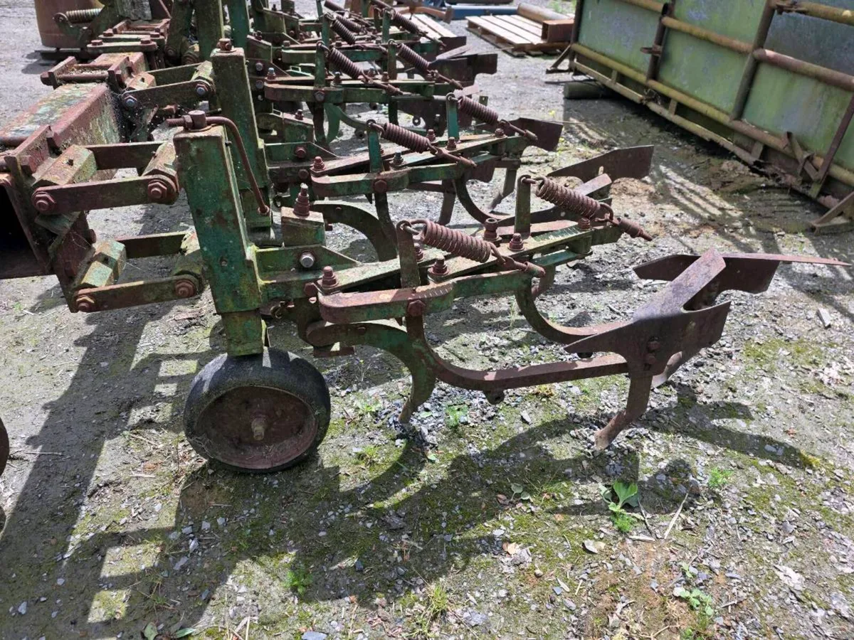 Yard clear out - Image 1