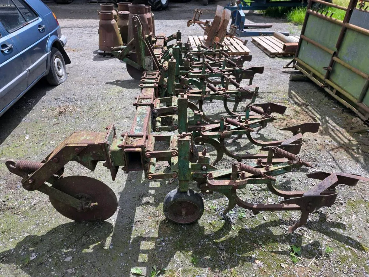 Yard clear out - Image 2