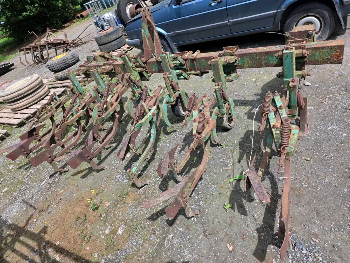 Yard clear out - Image 3