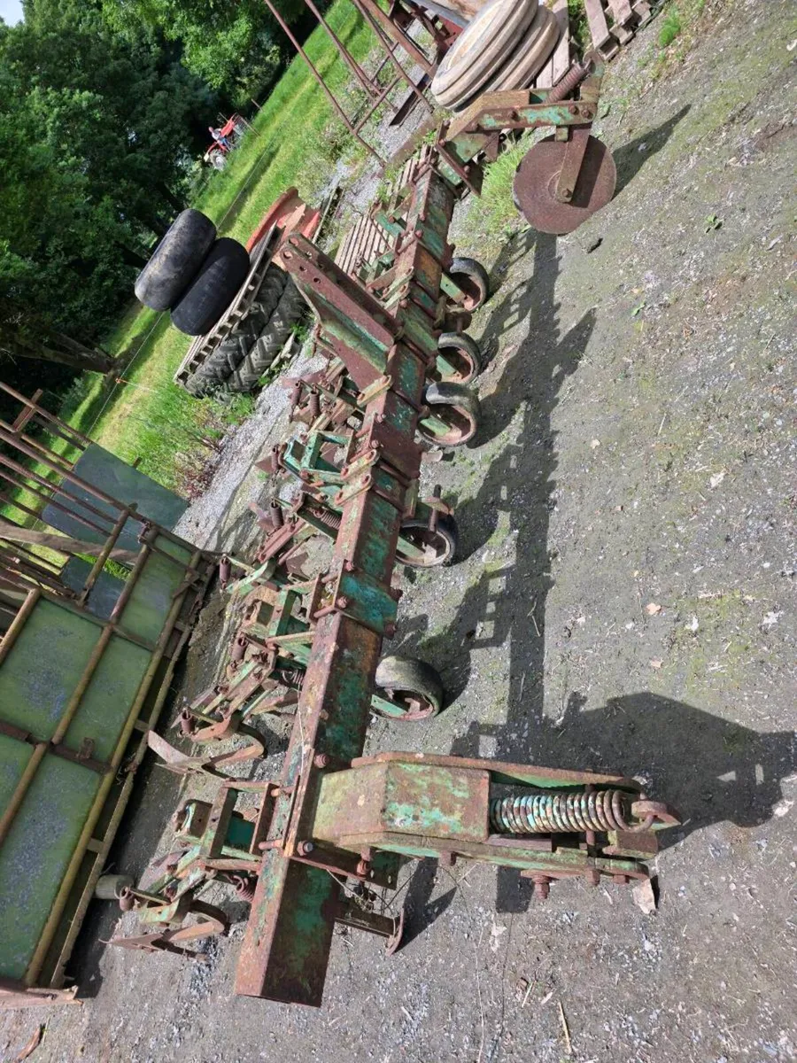 Yard clear out - Image 4