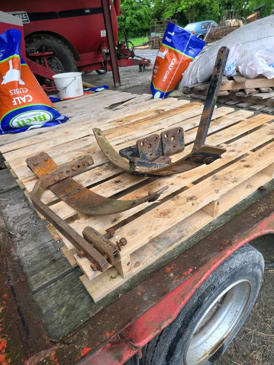 Yard clear out - Image 1