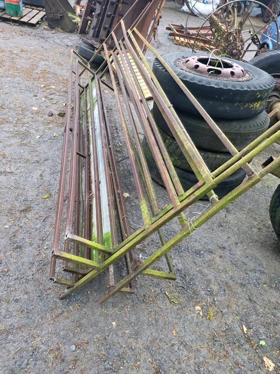Yard clear out - Image 2