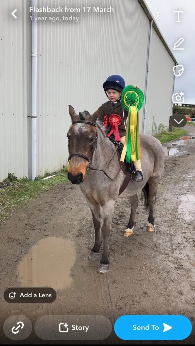 First Pony - Image 1