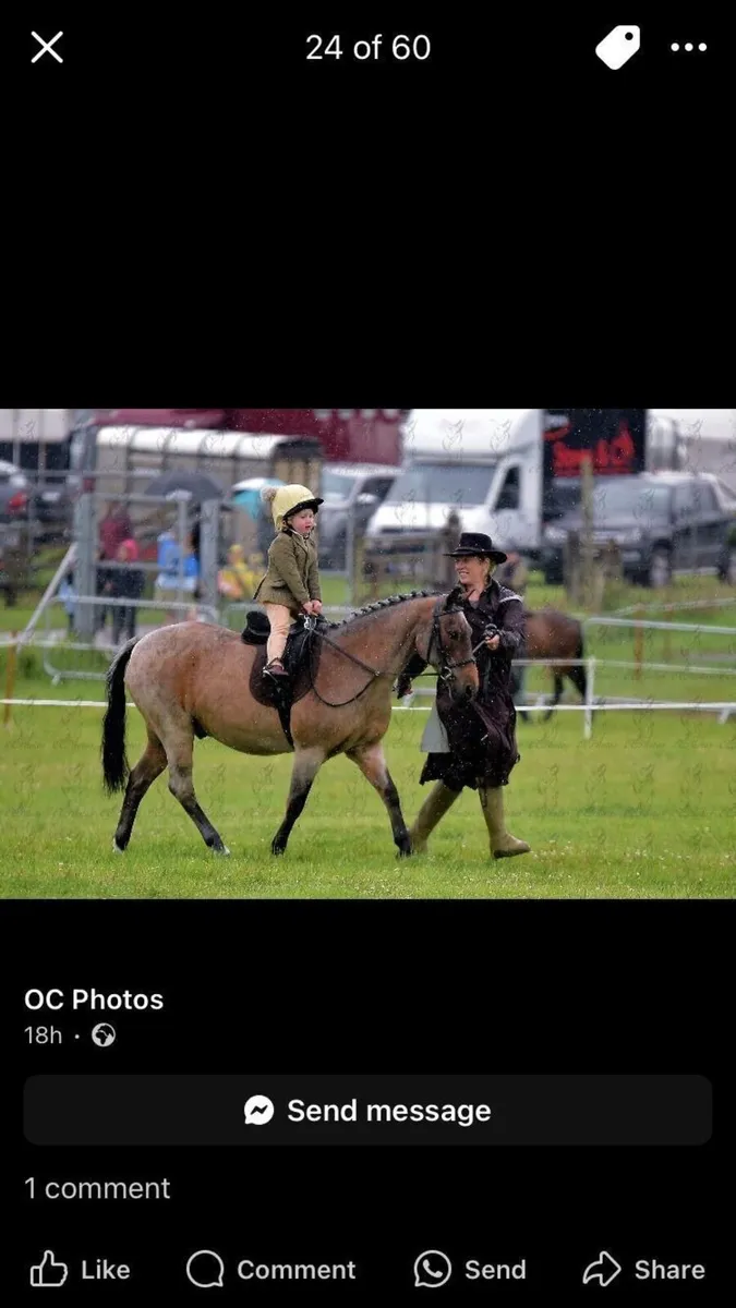 First Pony - Image 2
