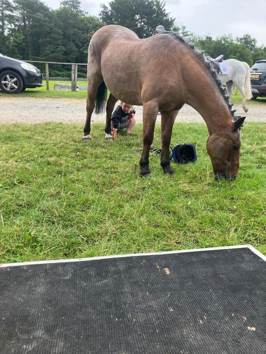 First Pony - Image 4