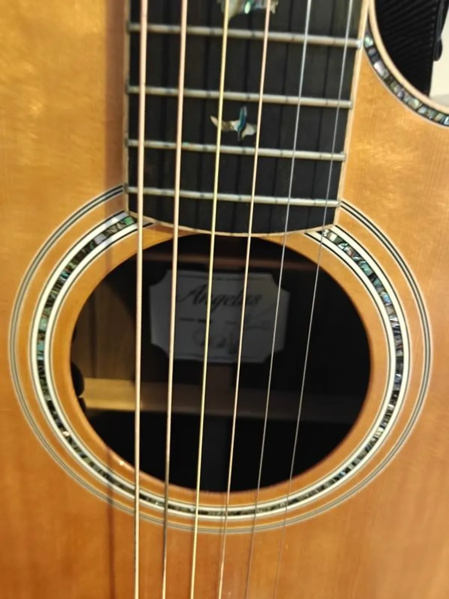 Electro-acoustic guitar for sale: PRS PRS SE A60E - Image 4