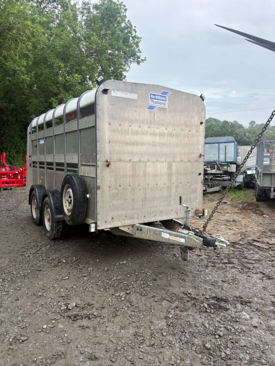 Ifor Williams 12ft cattle trailer - Image 1