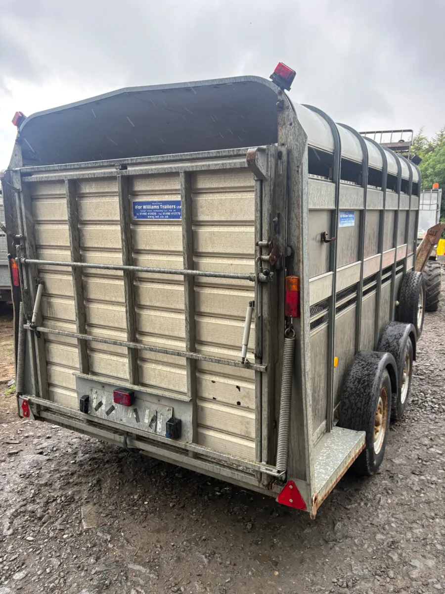 Ifor Williams 12ft cattle trailer - Image 2