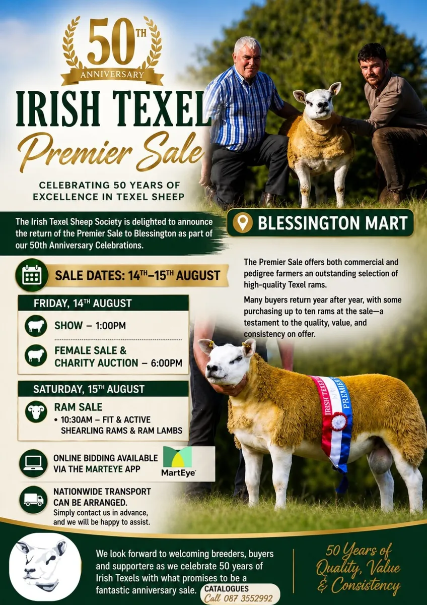 Irish Texel Premier Sale