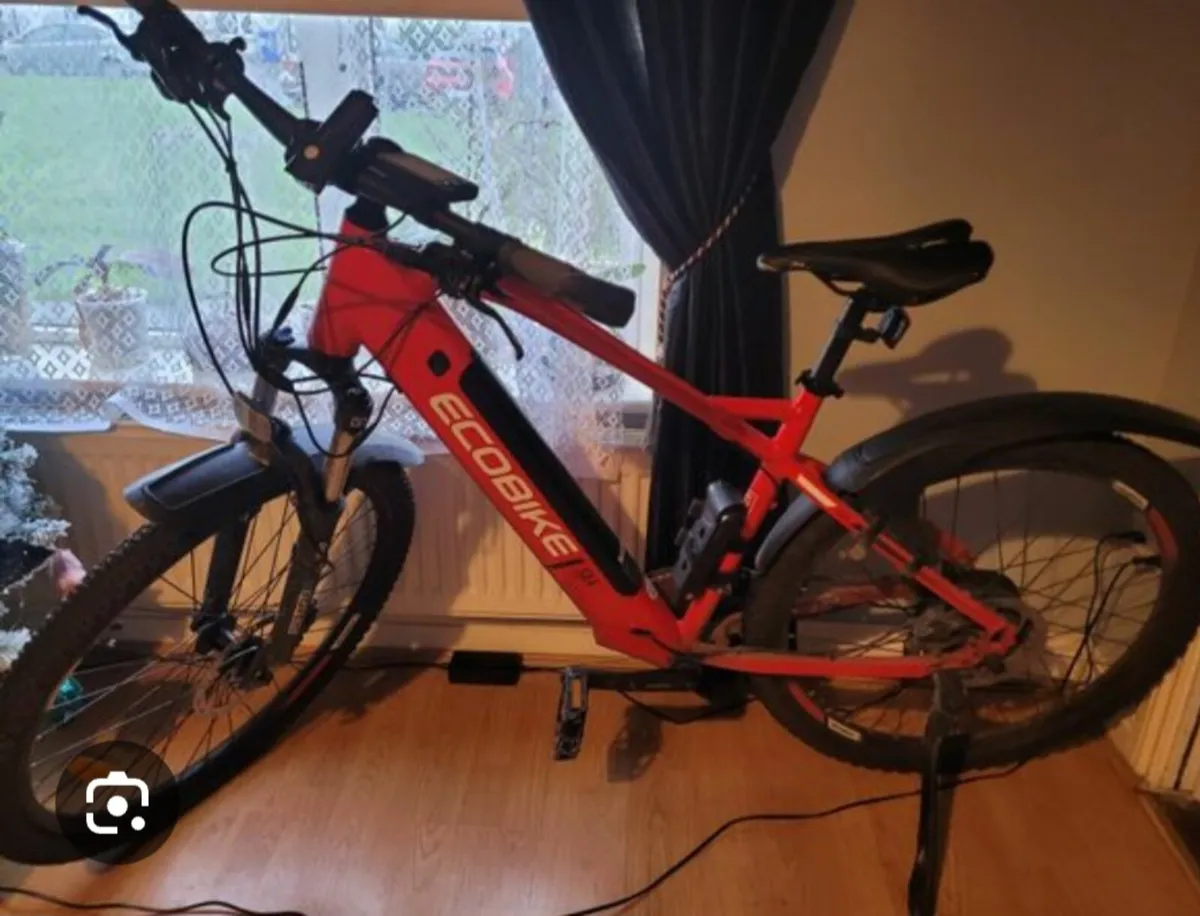 Bike Ecobike sx4