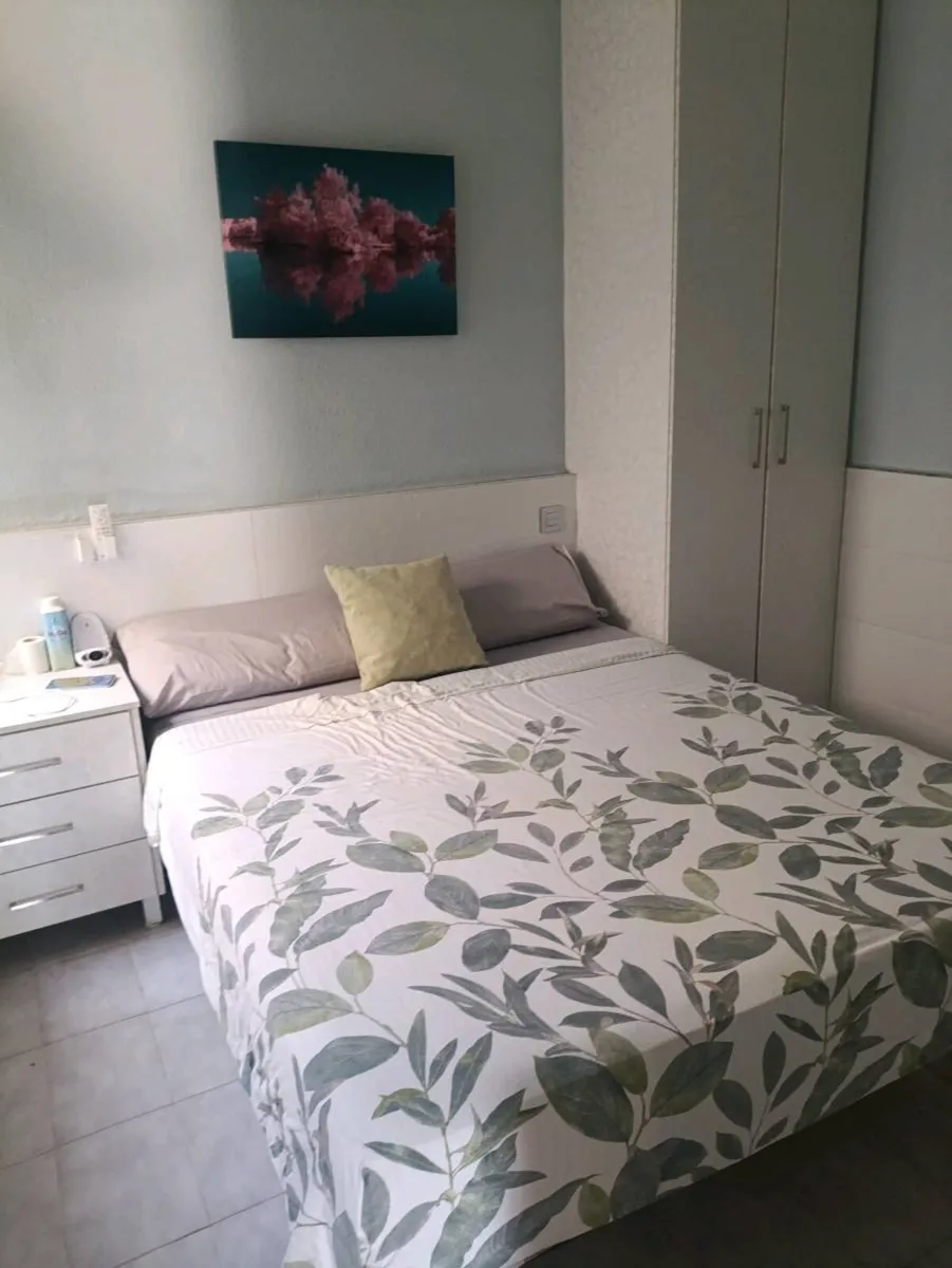 Property available for the peak Holiday months. - Image 3