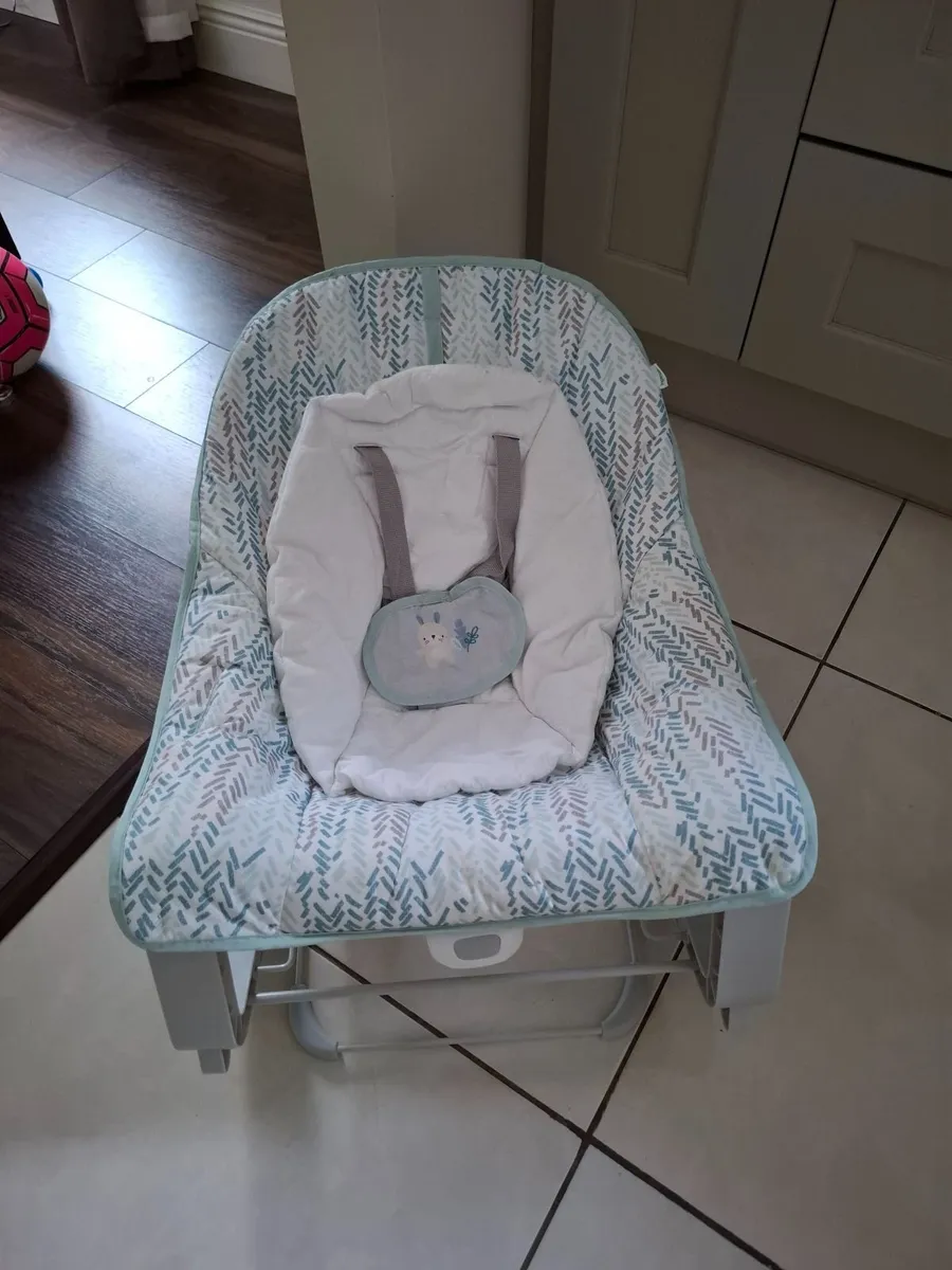 Baby Bouncer - Image 1