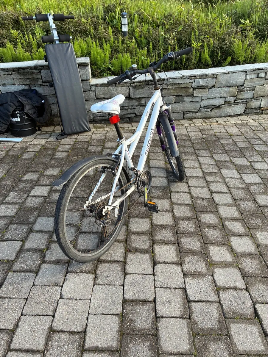 Bike - Image 1