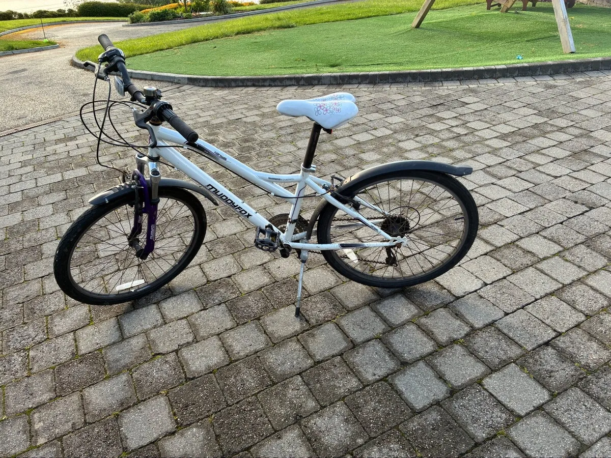 Bike - Image 2