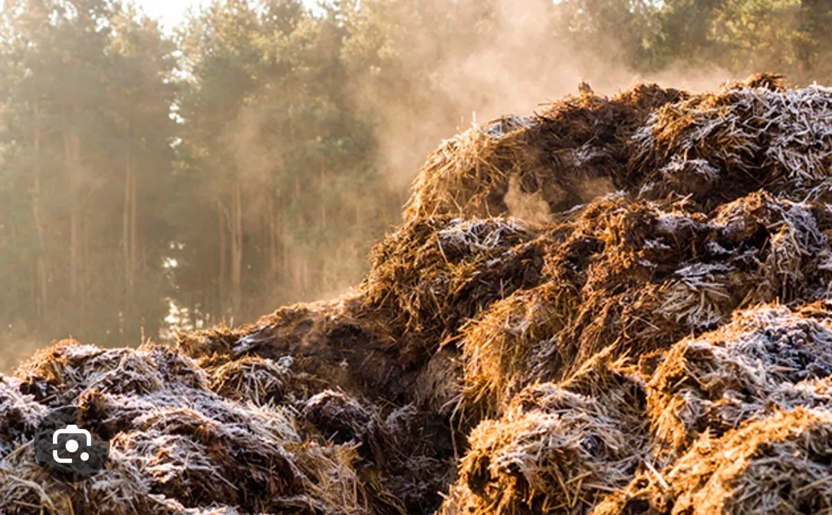 Looking for Horse straw muck heap removal