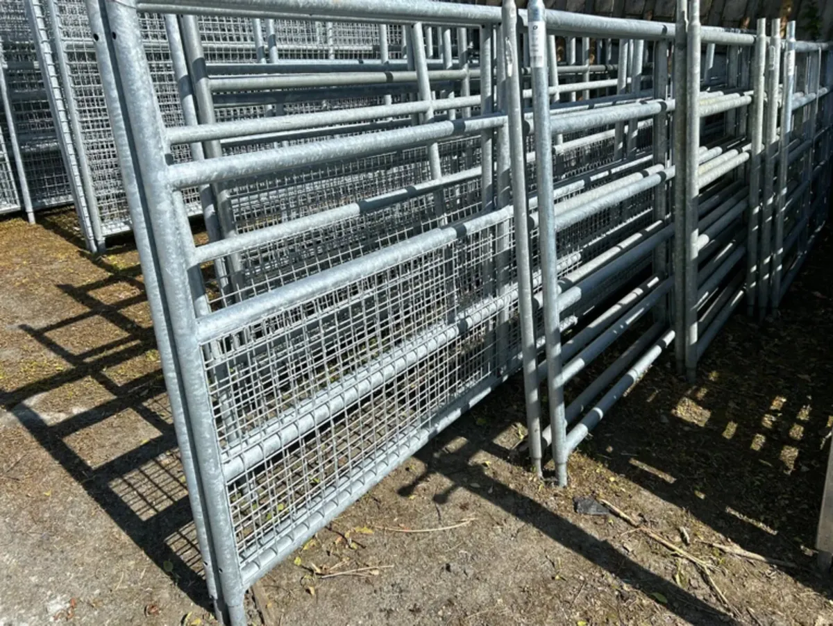 GALVANISED GATES AT FRS FENCING LIMERICK - Image 1