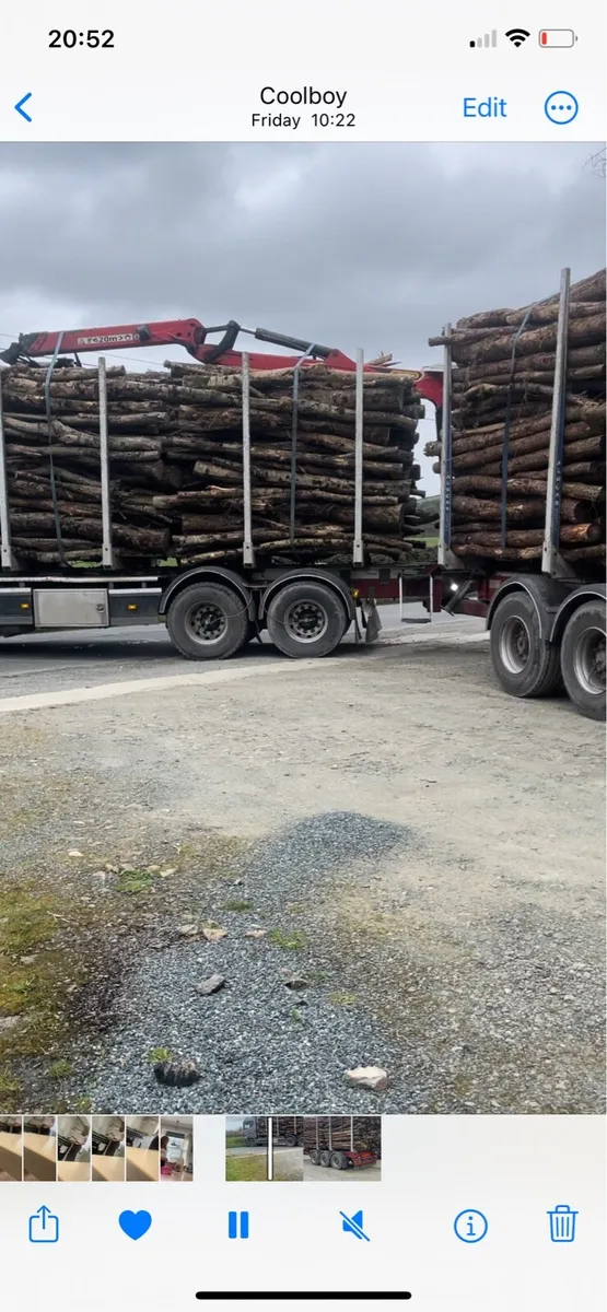Ash timber for sale - Image 1