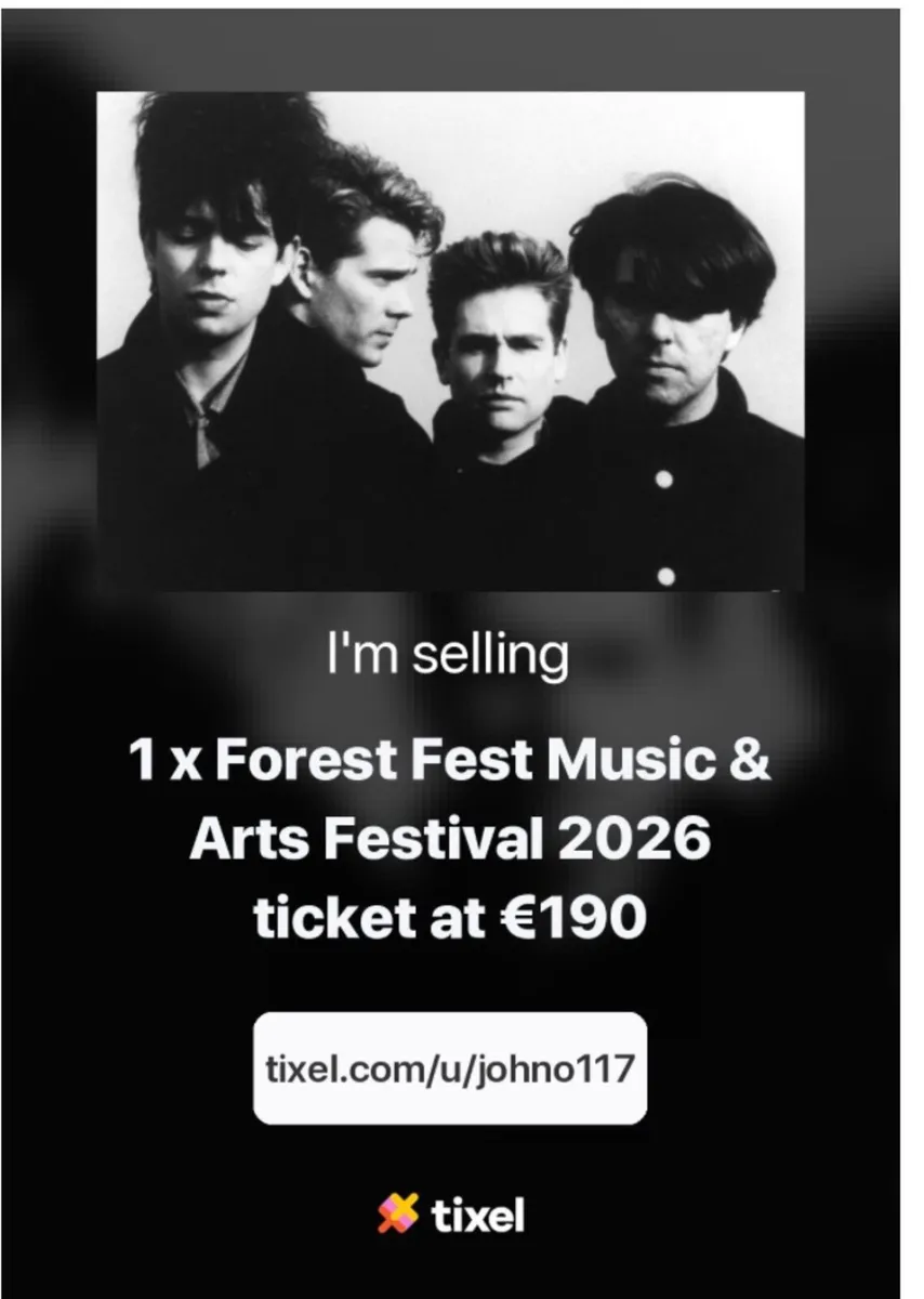 Forest Fest weekend admission ticket - Image 2