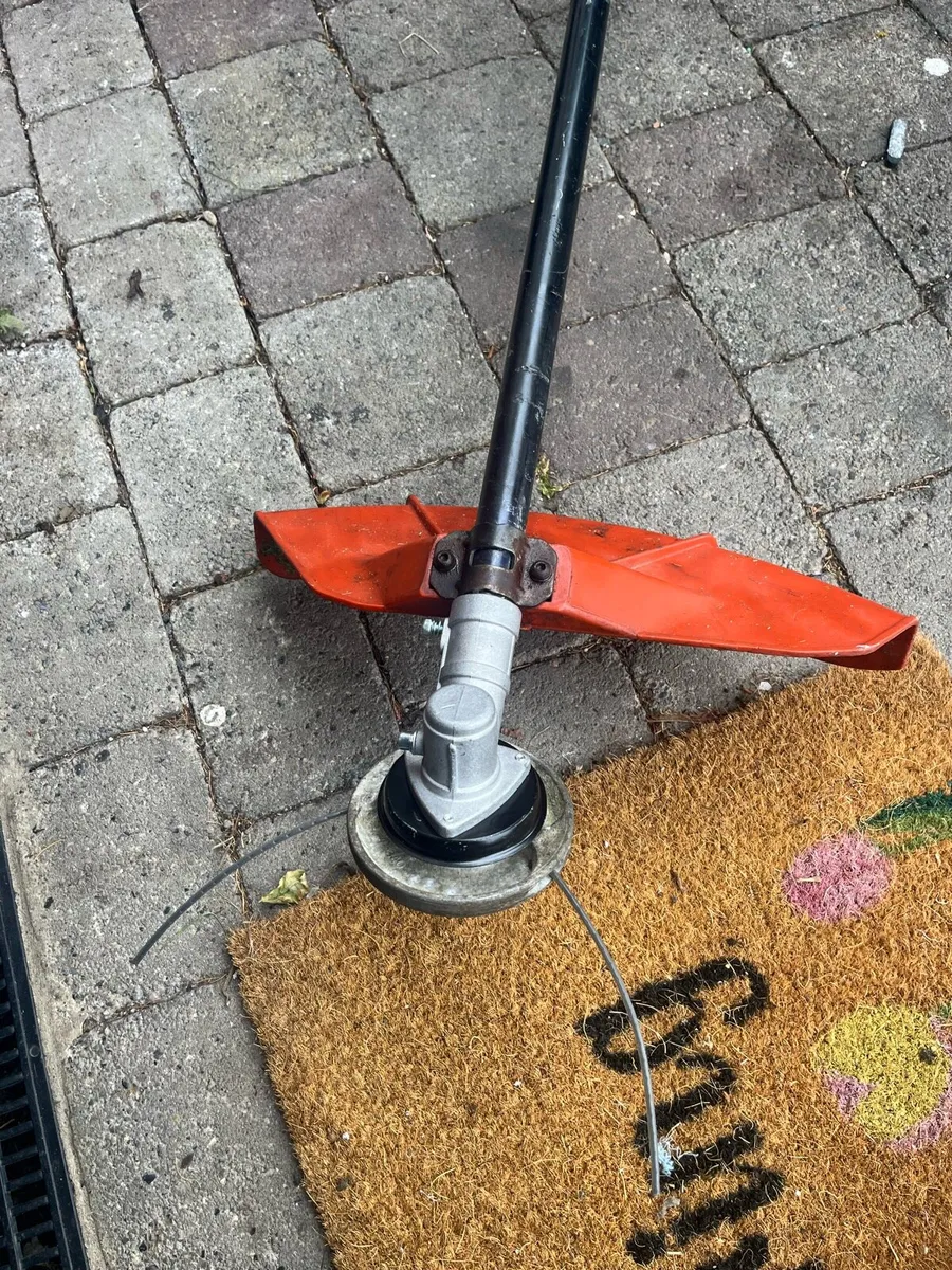 Strimmer  tanaka - Image 2