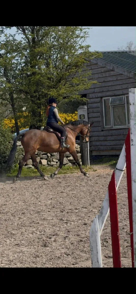 15 2hh 14yro Schoolmistress - Image 1