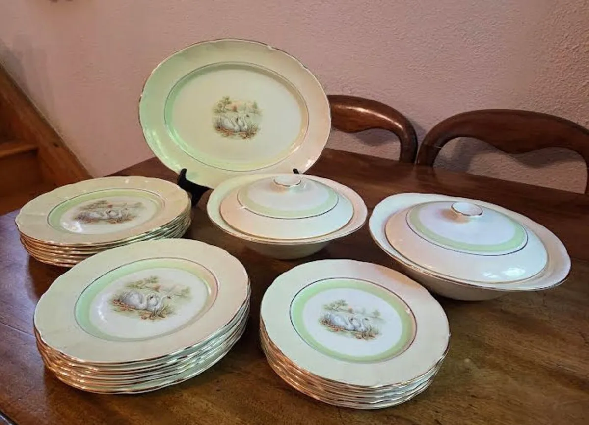 Arklow Pottery Vintage China Dinner Service - Image 1