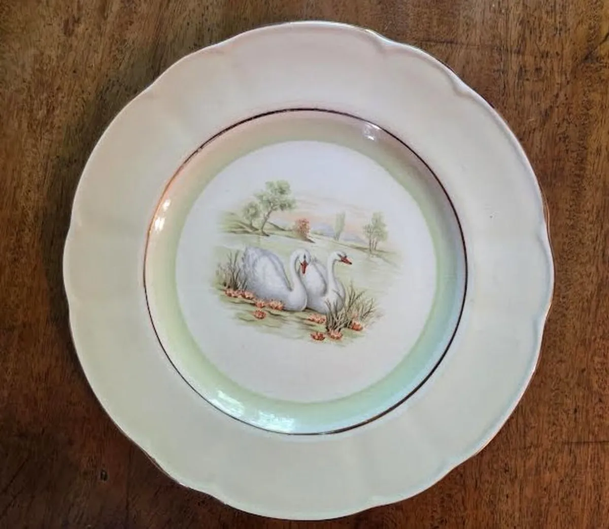 Arklow Pottery Vintage China Dinner Service - Image 4
