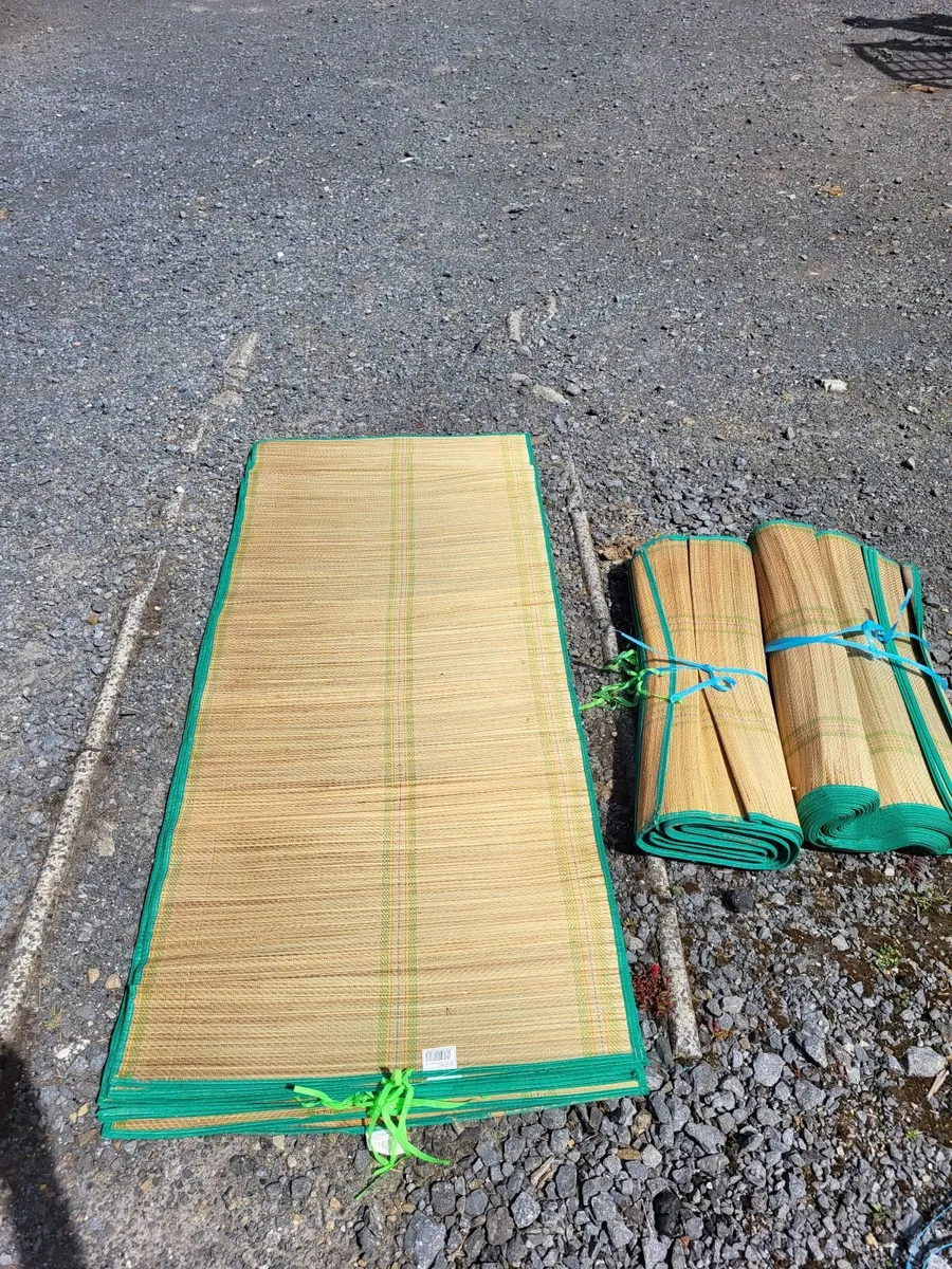 25 Beach Mats - Image 1