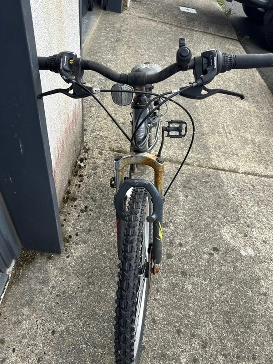 Bike - Image 4