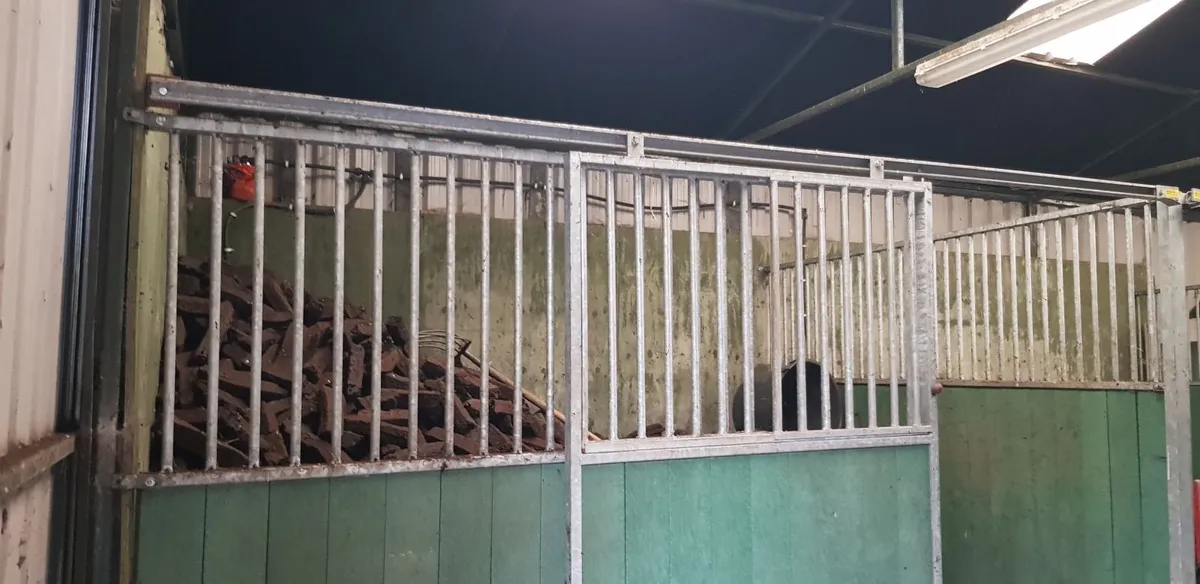 Internal Horse Stables - Image 2