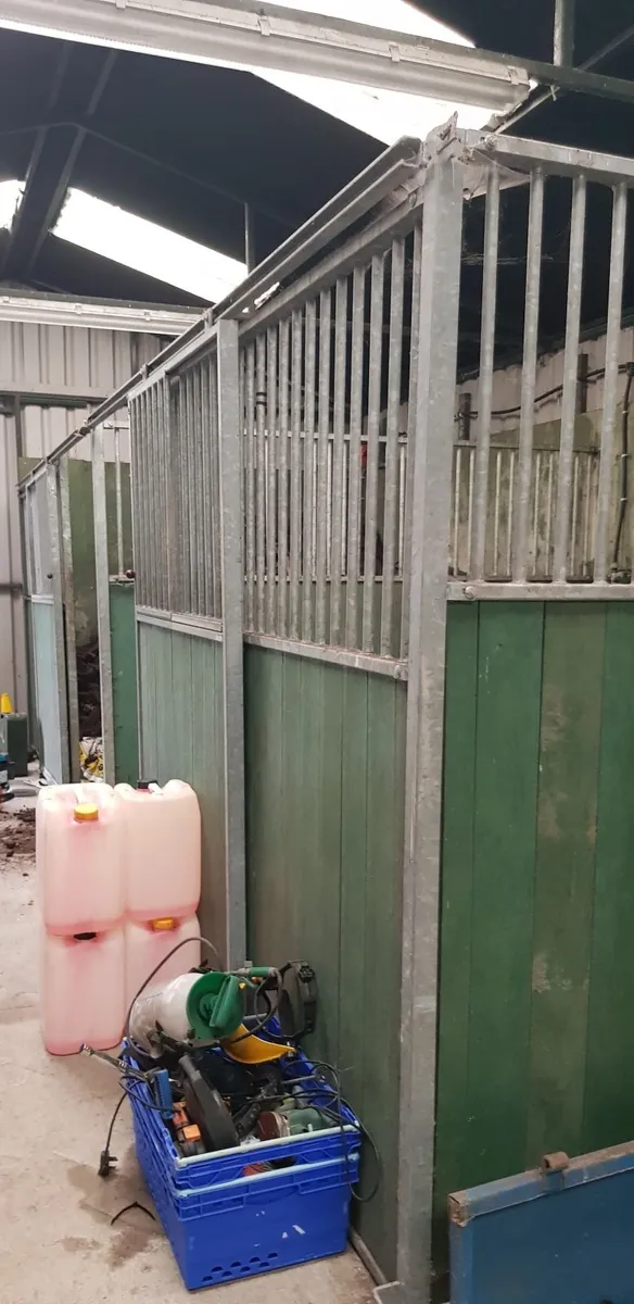 Internal Horse Stables - Image 4