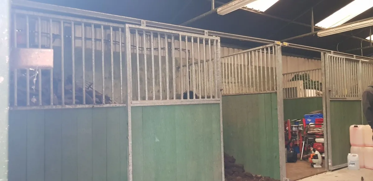Internal Horse Stables - Image 1