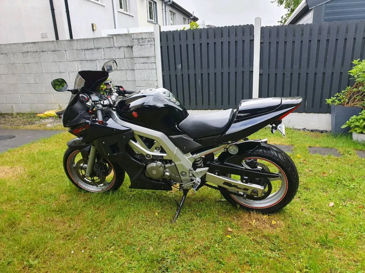 Suzuki SV - Image 2