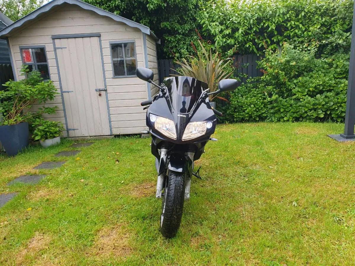 Suzuki SV - Image 4