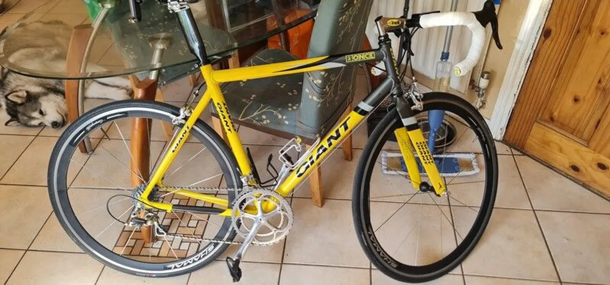 first ever giant tcr - Image 1