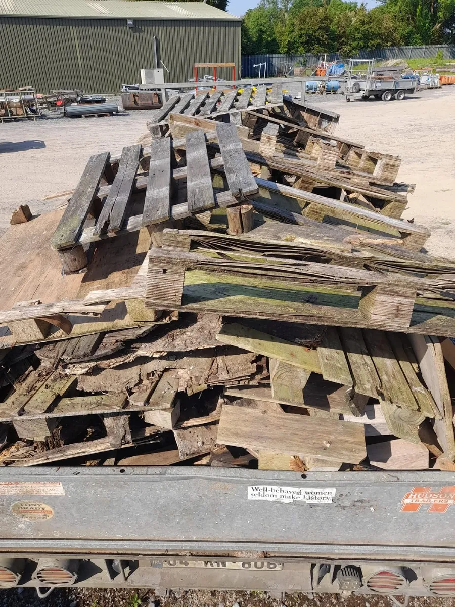 Timber for Free - Image 3