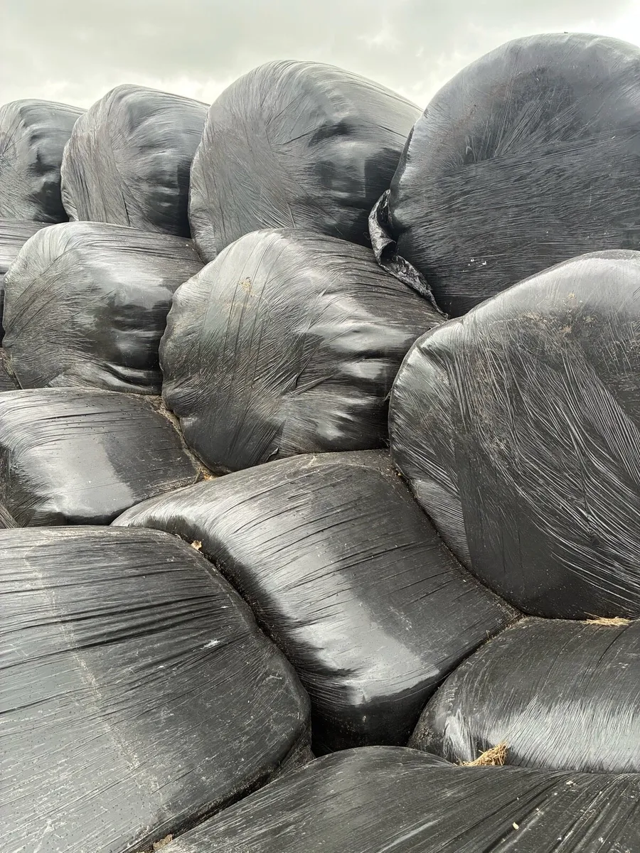 Silage - Image 1