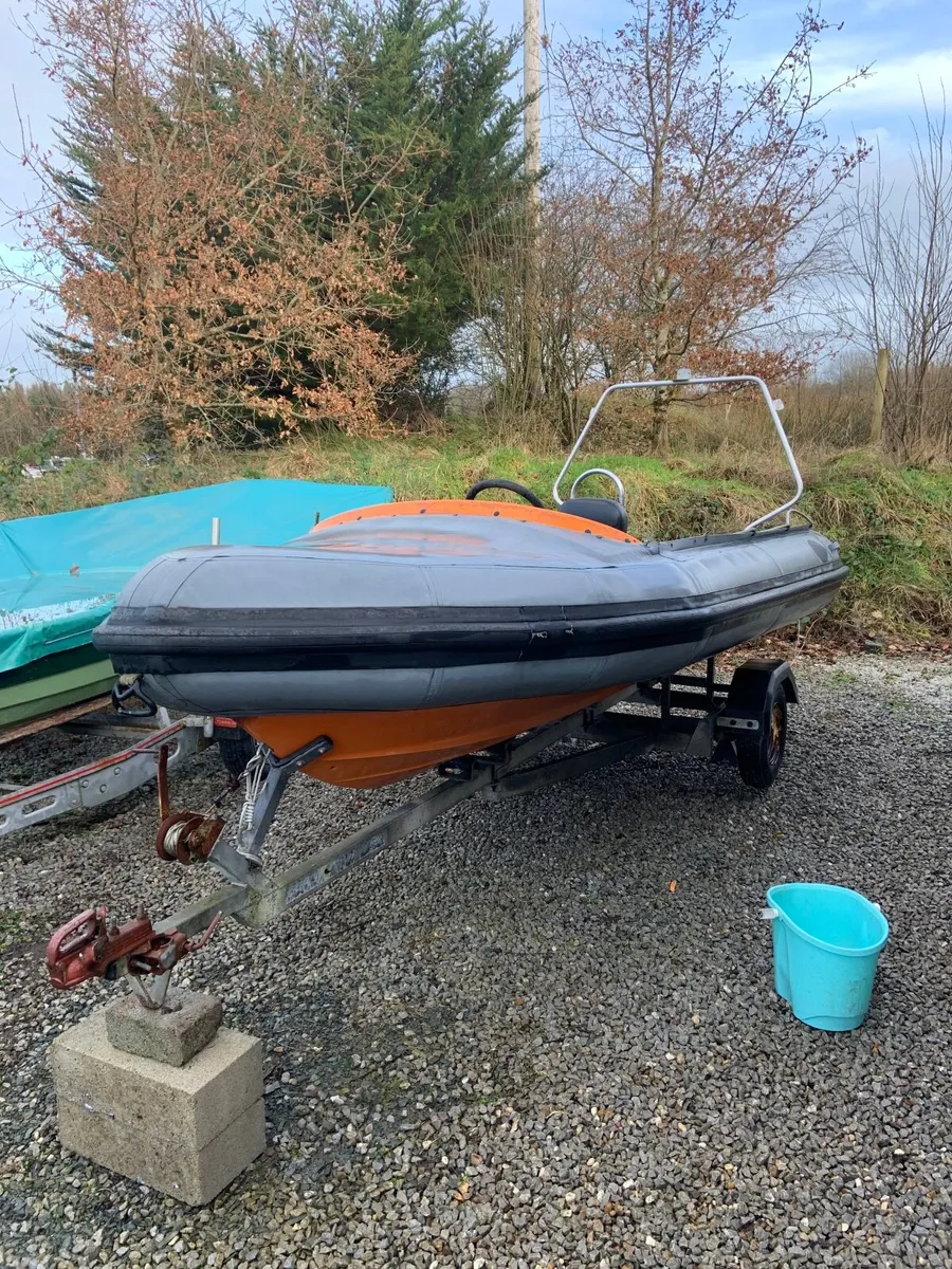 Rib - Image 3