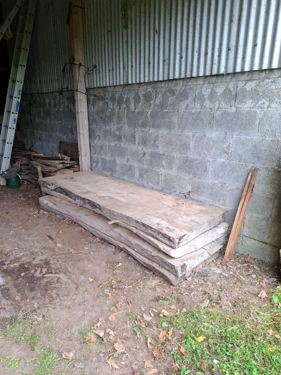 Ash timber slabs - Image 1