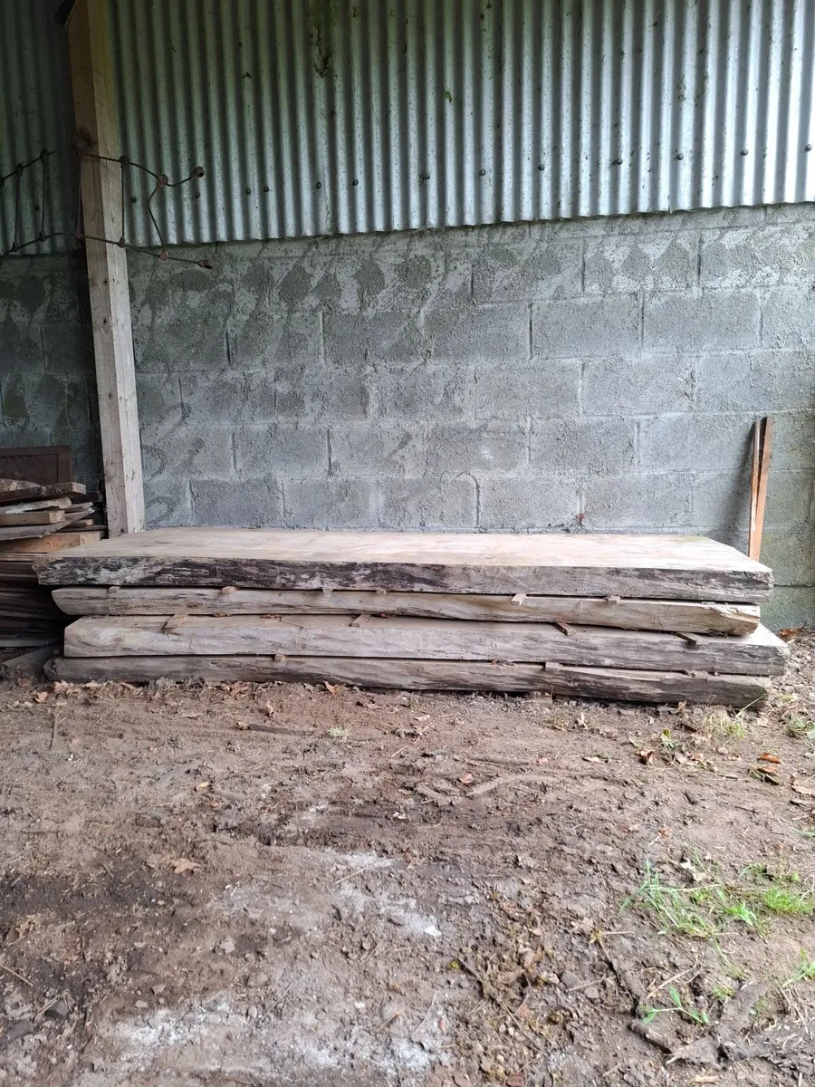 Ash timber slabs - Image 2