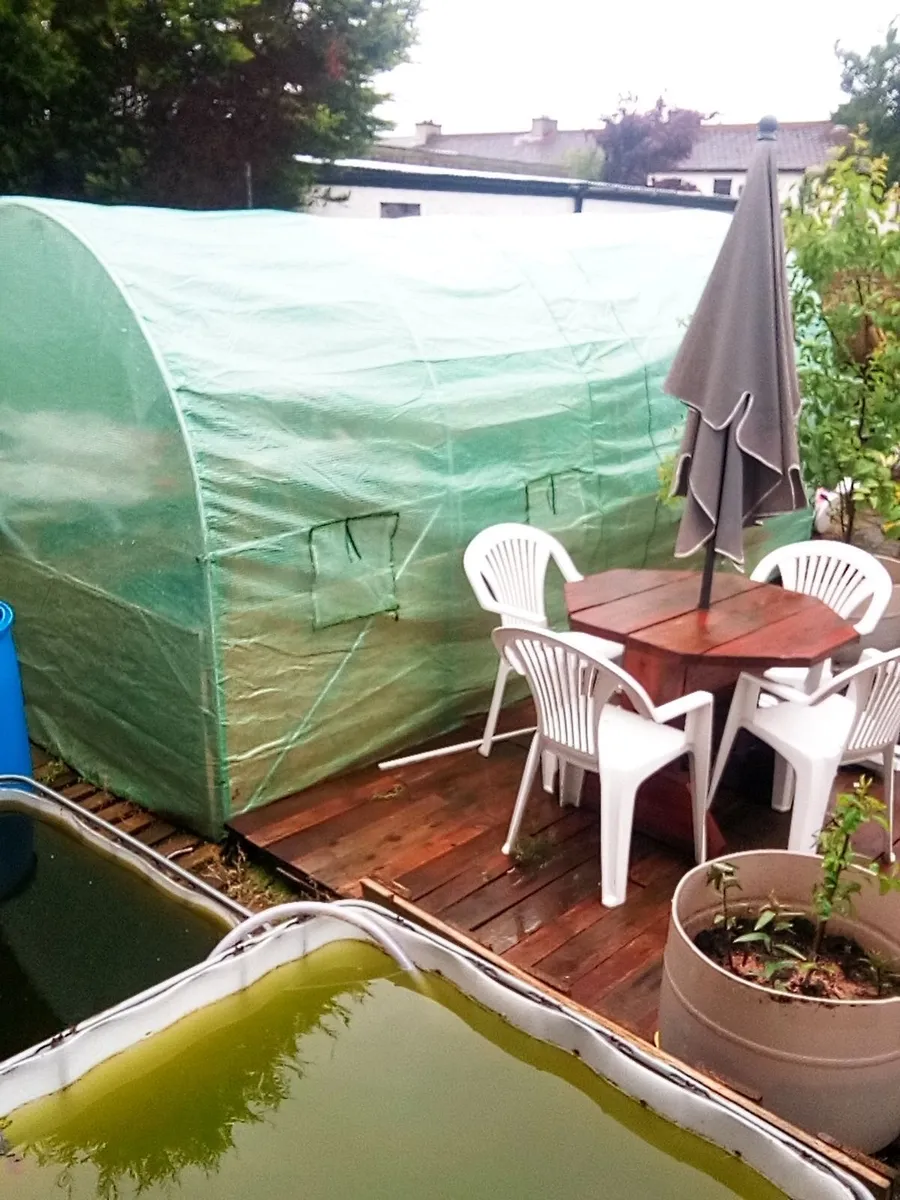 polytunnel 14.5 ft x 6.5ft good order, can dismant - Image 2