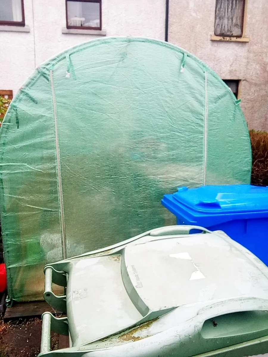 polytunnel 14.5 ft x 6.5ft good order, can dismant - Image 1