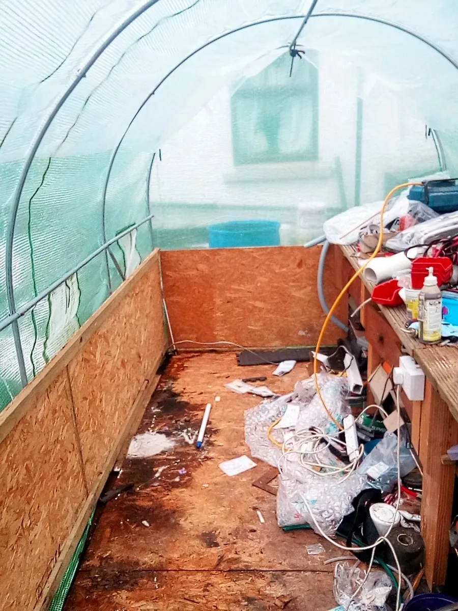 polytunnel 14.5 ft x 6.5ft good order, can dismant - Image 3