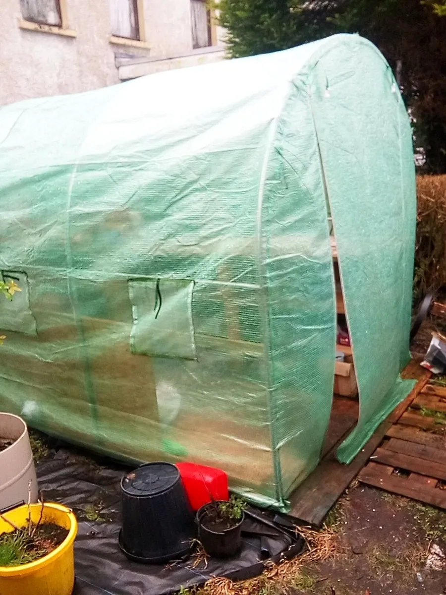 polytunnel 14.5 ft x 6.5ft good order, can dismant - Image 4