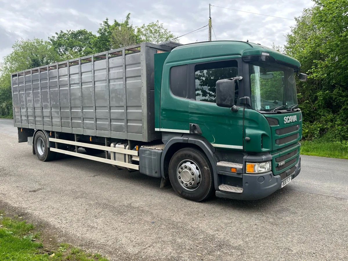 Scania cattle truck - Image 2