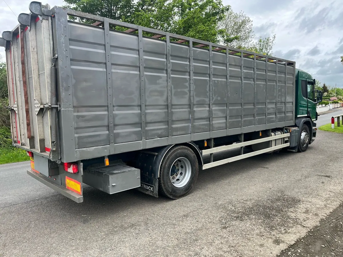 Scania cattle truck - Image 3